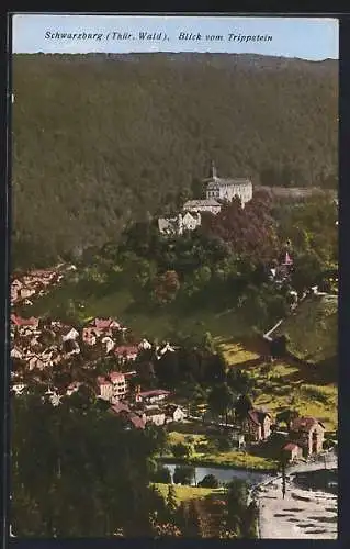 AK Schwarzburg /Thür. Wald, Blick vom Trippstein auf den Ort