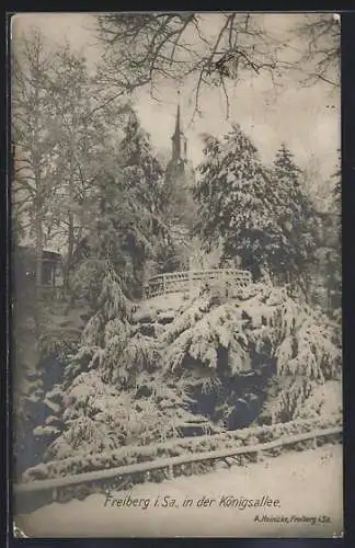 AK Freiberg i. S., In der Königsallee