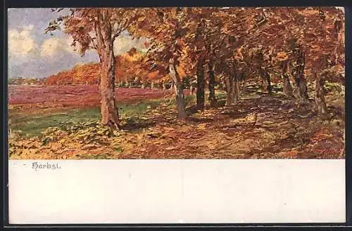 Künstler-AK Brüder Kohn (B.K.W.I) Nr. 732-2: Herbstliche Landschaft mit Bäumen