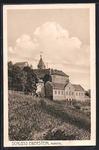 AK Schloss Eberstein /Murgtal, Ansicht vom Weinberg aus