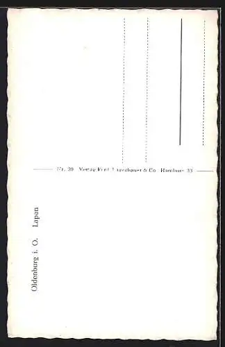 AK Oldenburg i. O., Strassenpartie mit Lapan