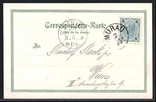 AK Murau, Ortsansicht mit Schloss und Kirche