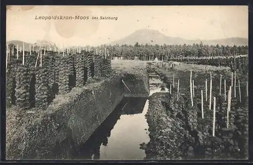 AK Leopoldskron-Moos bei Salzburg, Torfabbau, Wassergraben mit gestochenem Torf und Bergpanorama