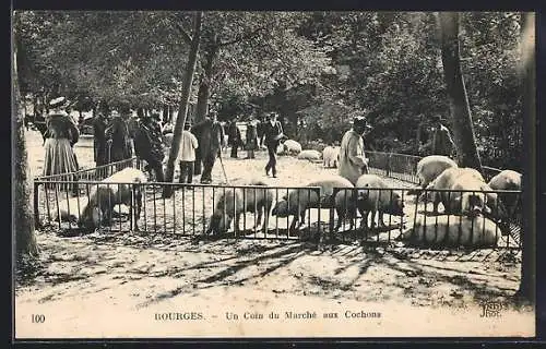 AK Bourges, Un Coin du Marché aux Cochons