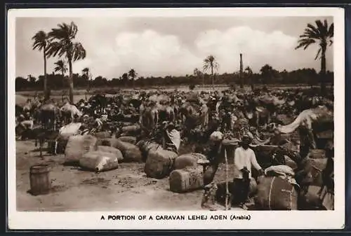 AK Aden, A Portion of a Caravan Lehej