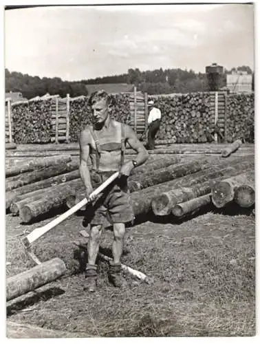 Fotografie Wilhelm Sturm, Ansicht Lenzing, Arbeiter der Zellwolle-Fabrik sortiert Langholz 1938