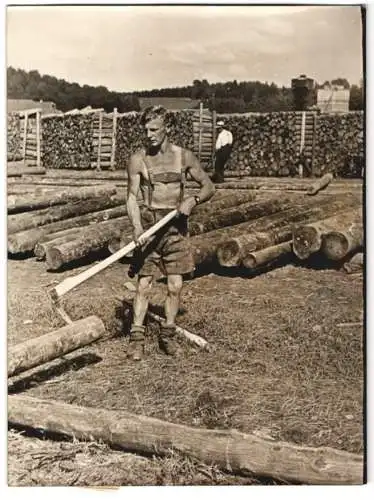 Fotografie Wilhelm Sturm, Ansicht Lenzing, Arbeiter der Zellwolle-Fabrik schlichtet Langholzstösse 1938