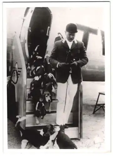 Fotografie Flughafen Camden / New Jersey, Jagdhunde einer Jagdgesellschaft bei der Ankunft mit einem Flugzeug 1940