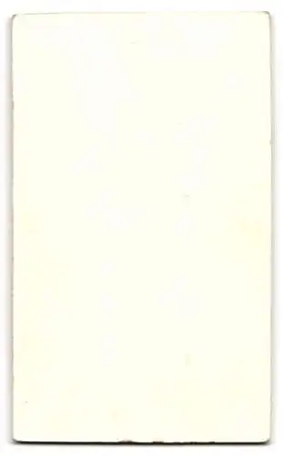 Fotografie Otto Hoppe, Celle, Altencellerthor Str. 7, Soldat des 77. Regiments in Uniform, Brustbild