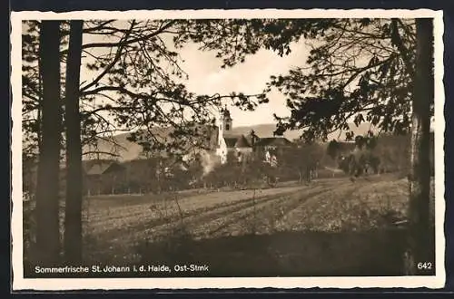 AK St. Johann i. d. Haide, Ortspartie mit Kirche