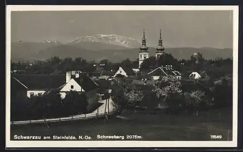 AK Schwarzau am Steinfelde, Strassenpartie mit Kirche und Schneeberg