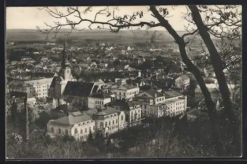 AK Baden b. Wien, Gesamtansicht mit Kirche