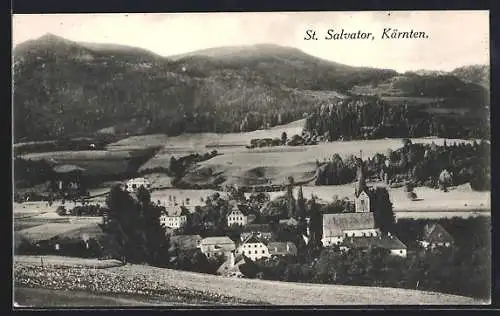 AK St. Salvator /Kärnten, Teilansicht mit Kirche