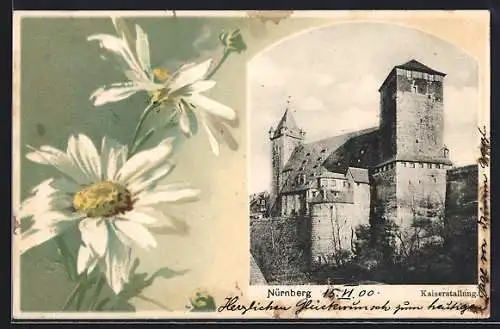 AK Nürnberg, Blick auf die Kaiserstallung