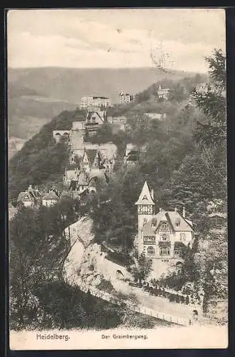 AK Heidelberg / Neckar, Ortsansicht mit Graimbergweg