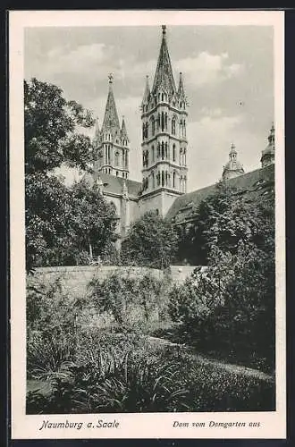 AK Naumburg a. Saale, Dom vom Domgarten aus