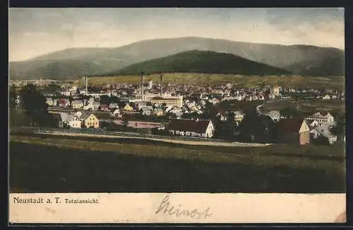 AK Neustadt (aT) / Nove Mesto Pod Smrkem, Blick von der Bergwiese zum Ort