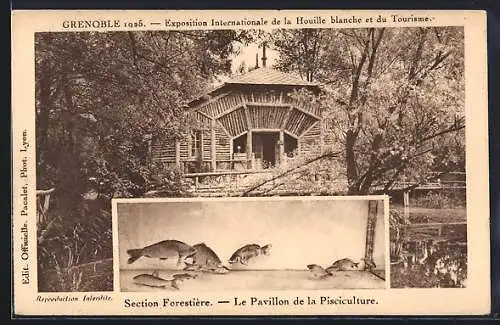 AK Grenoble, Expos. Inter. de la Houille blanche et du Tourisme 1925, Section Forestiere, Le Pavillon de la Pisciculture