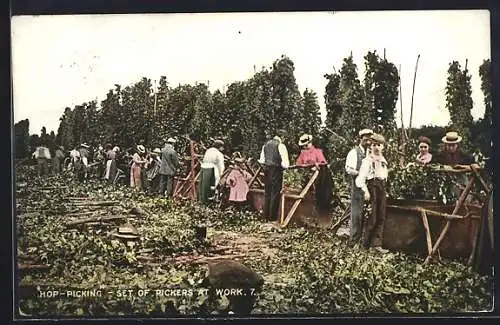 AK Hop-Picking, Set of Pickers at Work, Arbeiter bei der Hopfen-Ernte