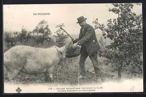 AK Périgord, Groupe sympathique cherchant la Truffe, La bête attendant sa récompense, Trüffelschwein