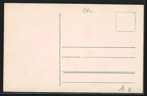 AK Brand der Dresdener Vogelwiese am 2.8.1909