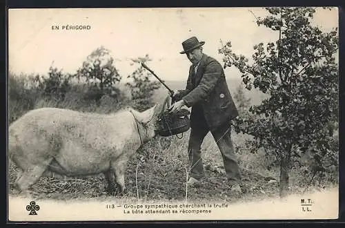 AK Périgord, Groupe sympathique cherchant la Truffe, La bête attendant sa récompense, Trüffelschwein