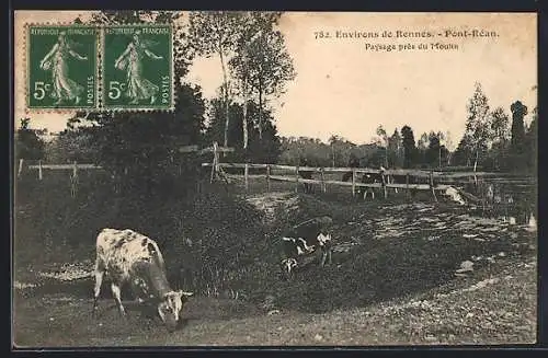 AK Pont-Réan, Paysage près du moulin avec vaches paissant