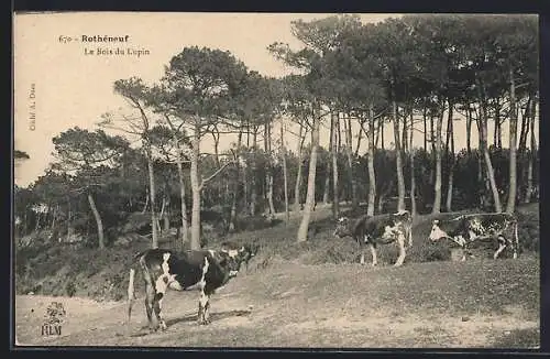 AK Rothéneuf, Le Bois du Lupin avec des vaches dans la clairière