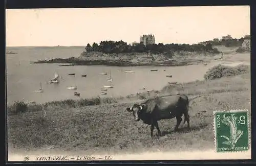 AK Saint-Briac, Le Nessay avec vache au premier plan et bateaux dans la baie