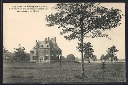 AK Paimpont, Le Château du Pas du Houx, vue Nord-Est et perspective sur l`Étang