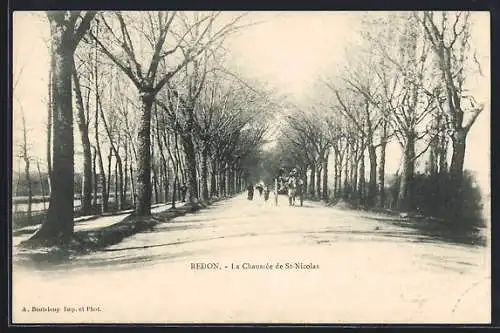 AK Redon, La Chaussée de St-Nicolas avec allée bordée d`arbres et passants