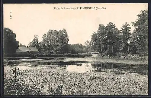 AK Pleugueneuc, Étang de Bussaine et paysage boisé