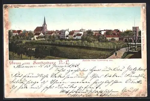 AK Senftenberg /N.-L., Ansicht vom Gartenweg aus