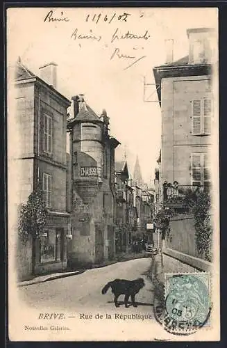 AK Brive, Rue de la République avec chien et bâtiments historiques