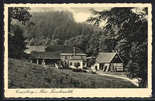 AK Eisenberg i. Thür., Blick auf die Froschmühle