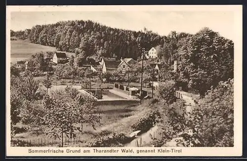 AK Grund am Tharandter Wald, Ortsansicht mit dem Wald