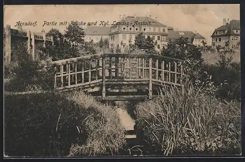 AK Arnsdorf / Sachsen, Partie mit Brücke und Kgl. Landes-Anstalt