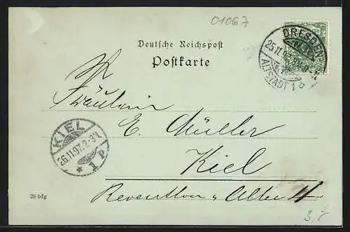 Mondschein-AK Dresden, Ansicht von der Elbe aus, Raddampfer