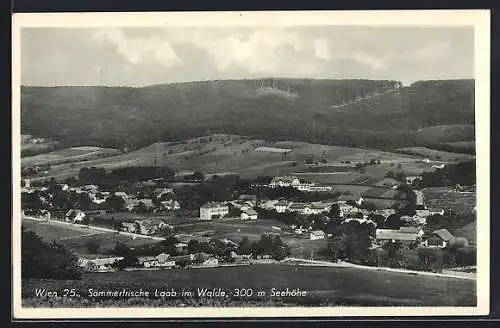 AK Laab im Walde, Panorama