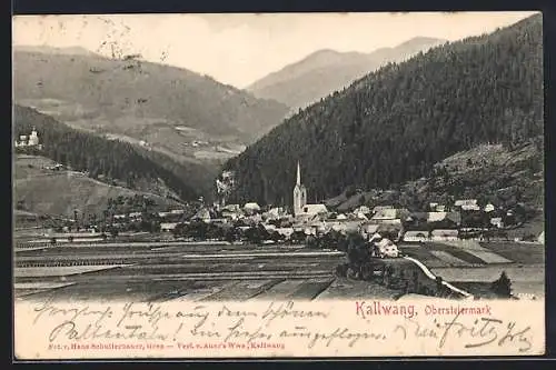 AK Kallwang /Obersteiermark, Teilansicht mit Kirche