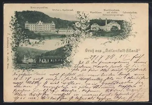 AK Alland, Heilanstalt Alland, Maschinenhaus, Meierhof, Krankenpavillon