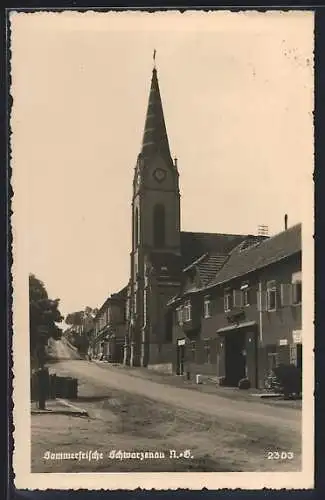 AK Schwarzenau /N.-Oe., Strassenpartie mit Kirche