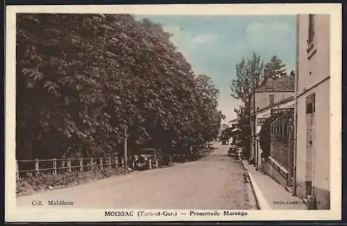 AK Moissac, Promenade Marengo avec arbres et bâtiments adjacents