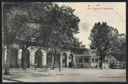 AK Moissac, Les Halles et arbres ombragés