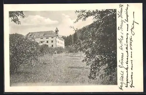 AK Bad St. Leonhard im Lavanttal, Schloss Lichtengraben von einer Wiese aus