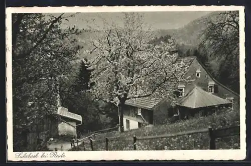 AK Sulzbach bei Reute, Ortspartie aus der Vogelschau