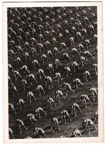 Fotografie Schostal, Ansicht Osaka / Japan, Sportler während einer Massen-Freiübung im Koshien-Stadion 1940