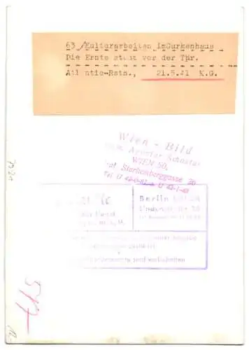 Fotografie Kulturarbeiten im Gewächshaus, Ernte der Gurken steht kurz bevor 1941