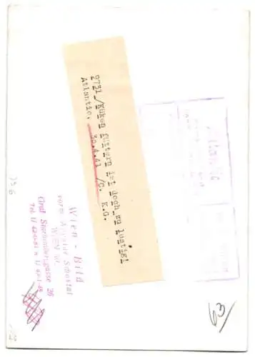 Fotografie Knaben & Mädchen bei füttern von Küken 1941
