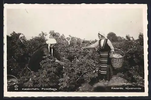 AK Kazanlik, Frauen bei der Rosenernte